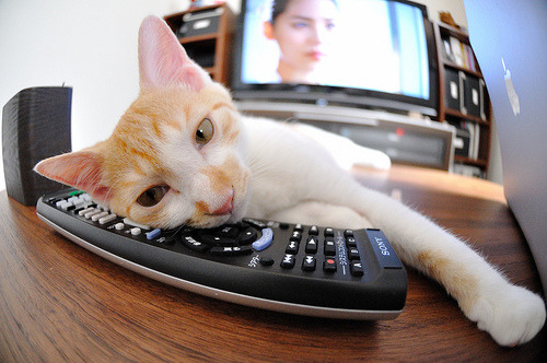 开云体育网站-逆转经典：那些让人热血沸腾的绝杀瞬间，逆转的绝杀pdf