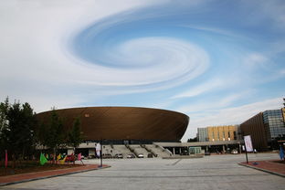 开云体育登录入口-高校体育场馆开放管理政策研究，高校体育场馆现状