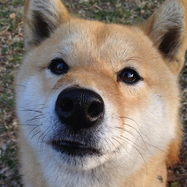 开云ky官网-中国三人女篮新战术体系初见成效，中国女篮三人篮球战绩