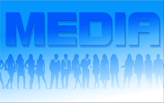 开云体育在线下载-体育新闻中心协办全国体育数字内容技术交流会，体育产业数字化