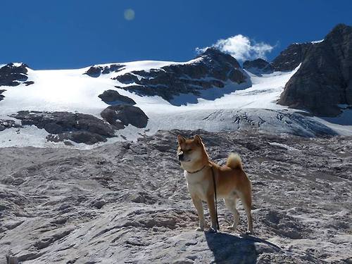 开云体育app下载-北京鸭通过视频学习提升战术执行效率，北京鸭子贴吧