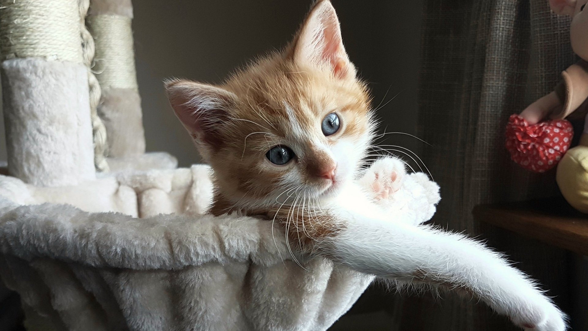 开云体育登录入口-互联网+足球训练平台实现个性化定制，满足多样化学习需求，足球训练系统